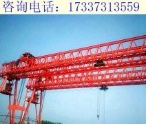 山东东营花架龙门吊厂家